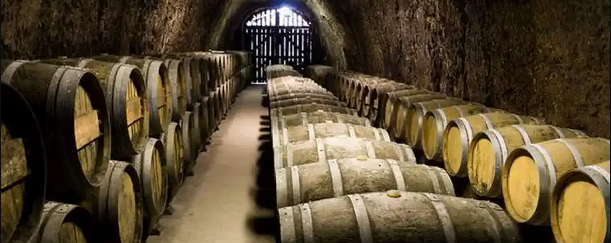Агрохозяйства, винодельни в Тоскане Италия на продажу.  Agricultural farms, wineries in Tuscany Italy for sale